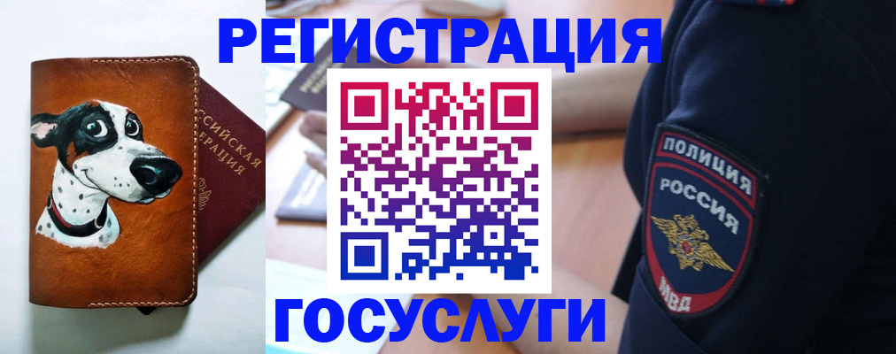 временная регистрация в квартире в Ногинске